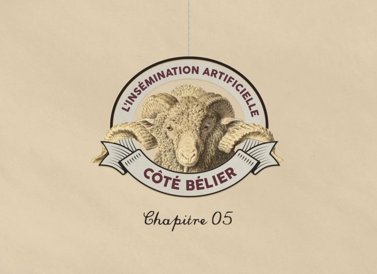 La Guerre des Moutons