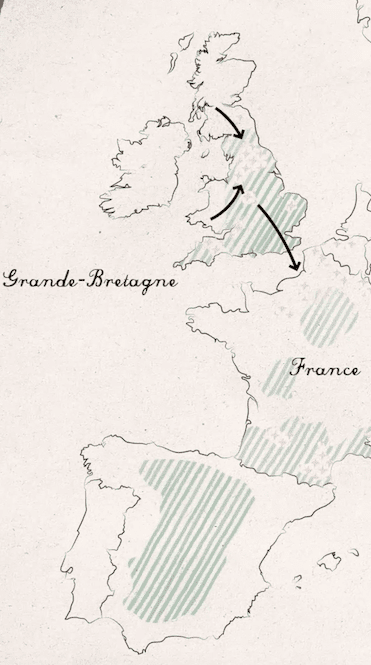 La Guerre des Moutons