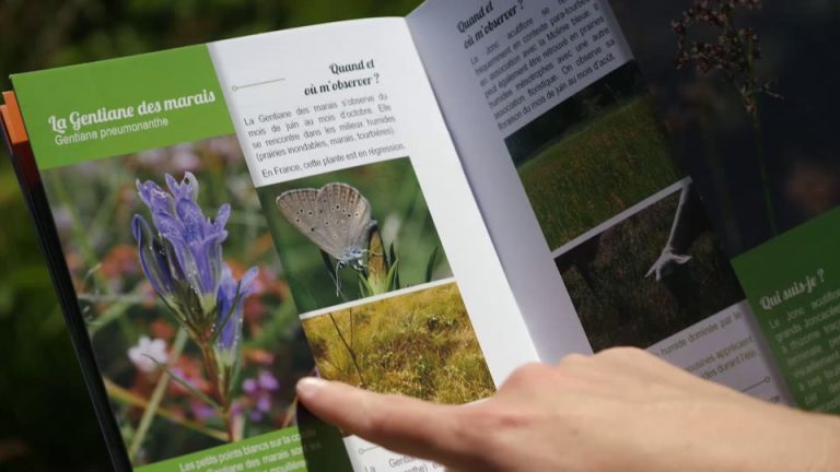 FCEN – Regards sur Loire